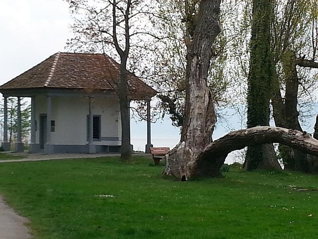 Ferienwohnung M. Konig Radolfzell am Bodensee Rum bild